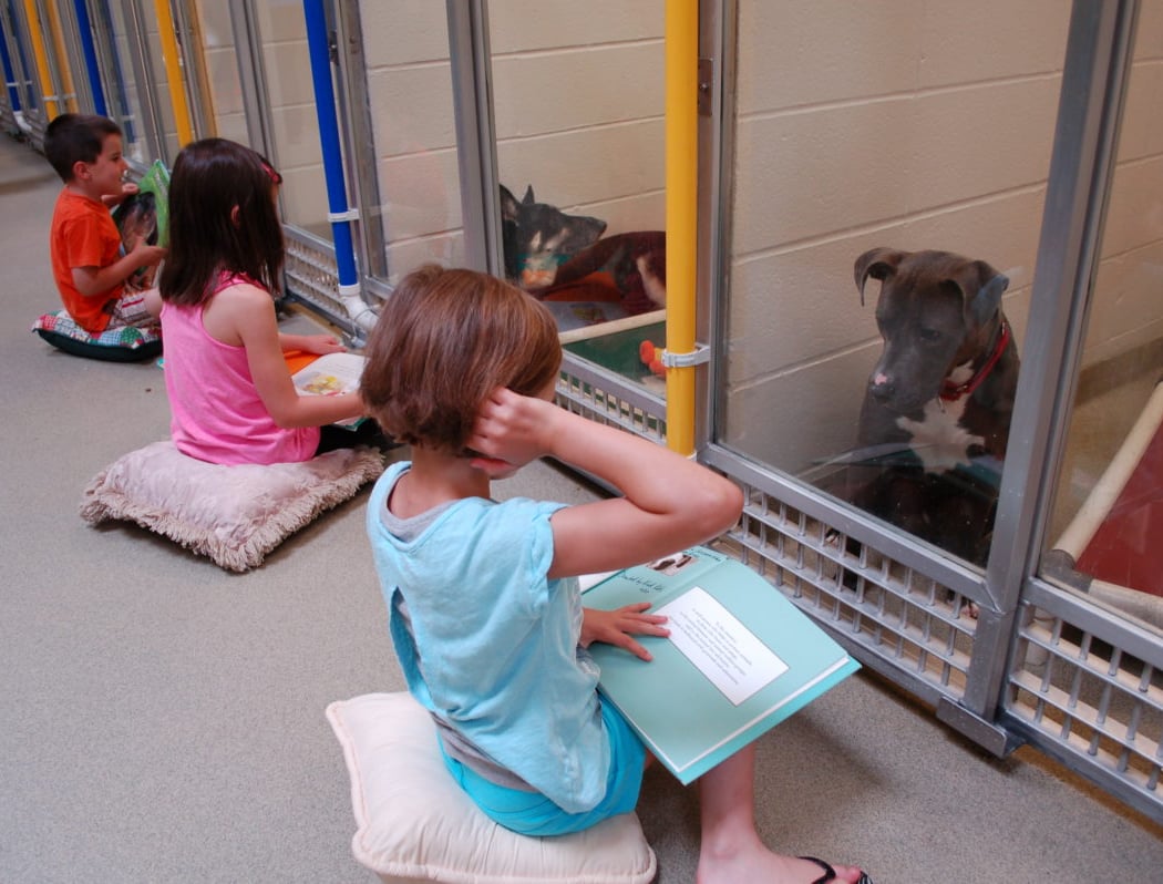 Dig Into Reading with Dug the Therapy Dog 3